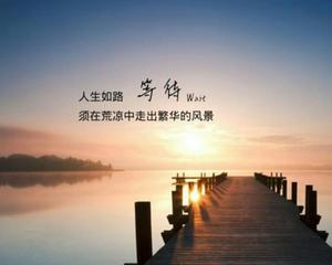 疗愈人生的近义词