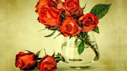 疗愈时光的唯美句子简短