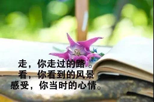 生活感悟发朋友圈的句子