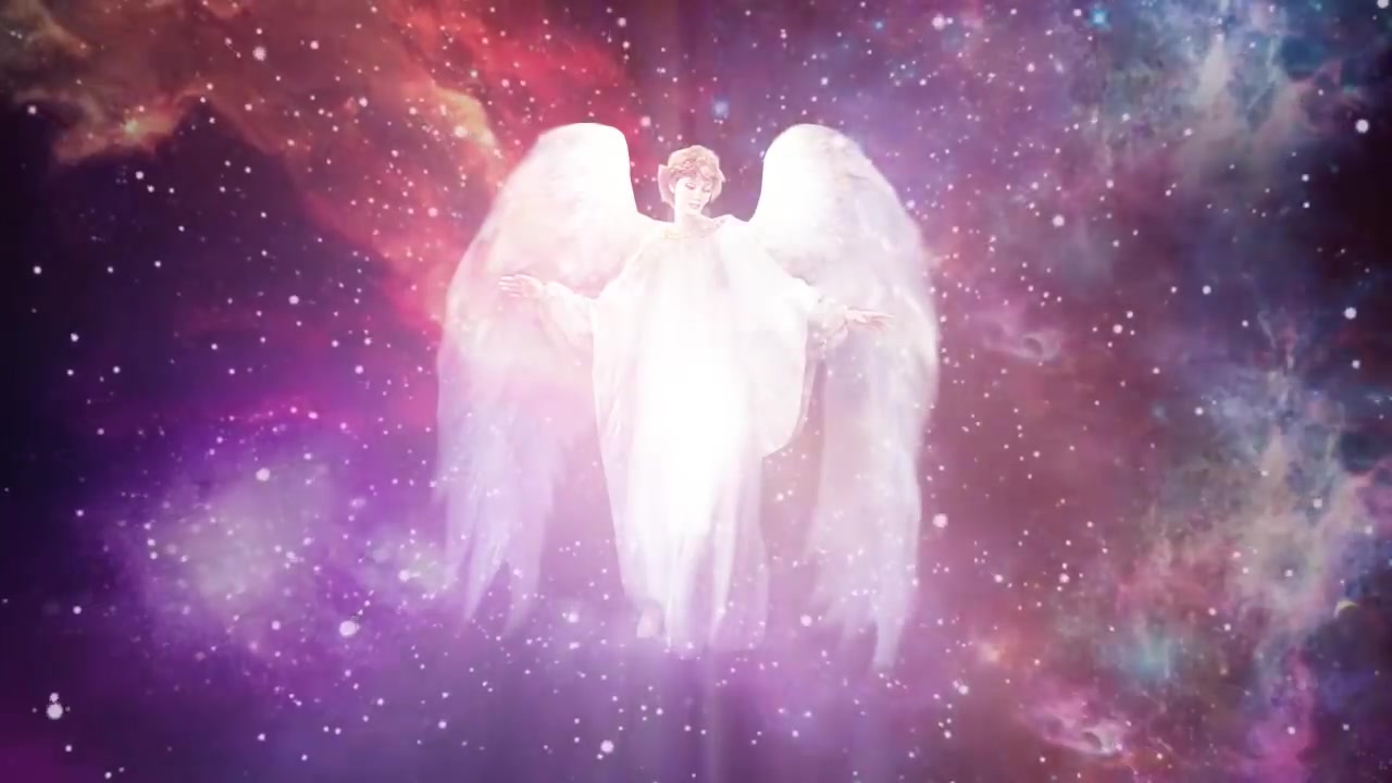 毛绒天使疗愈人生