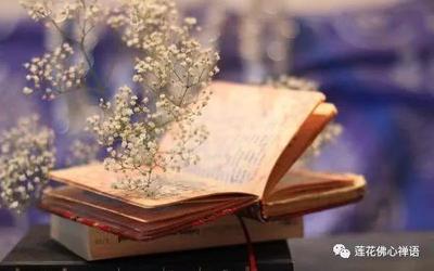 短短一句,说透人生