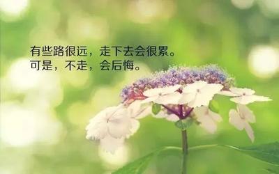 生活感悟的话语