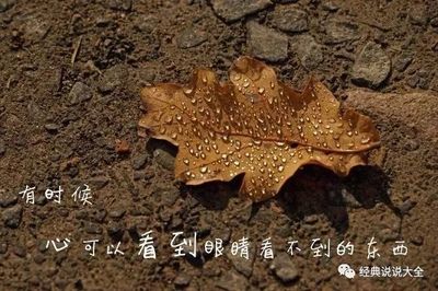 生活感悟的朋友圈说说