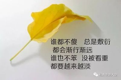 真实情感故事文案大全短句